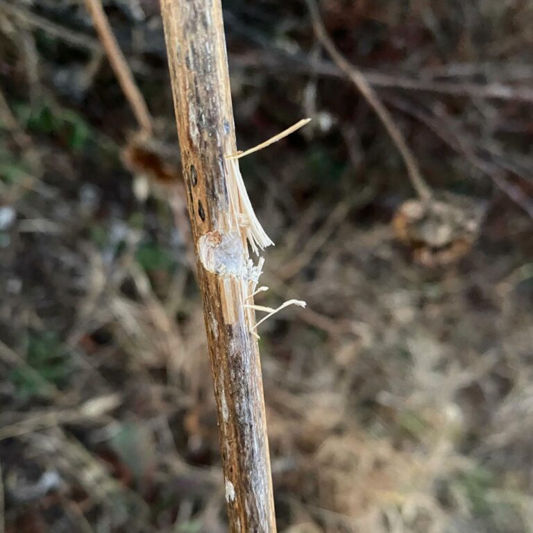 Testing the Brush Gun Myth Lucky Gunner Lounge