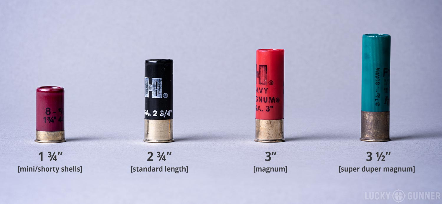 12 gauge shotgun shell size