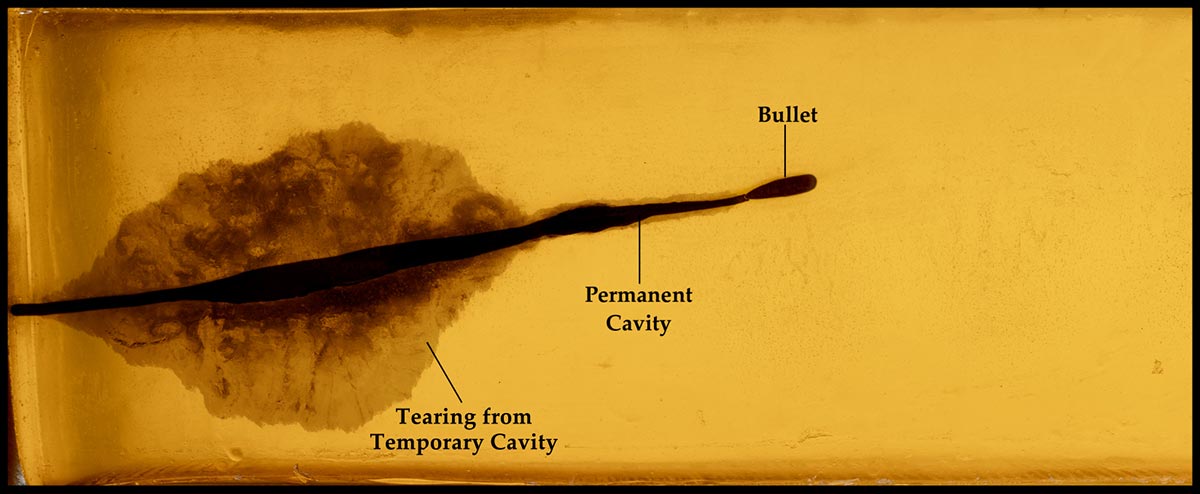 Terminal Ballistics Basics: Rifles vs Pistols